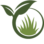 Jenson Artificial Pet Turf Installation