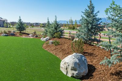 Artificial Pet Turf Installation